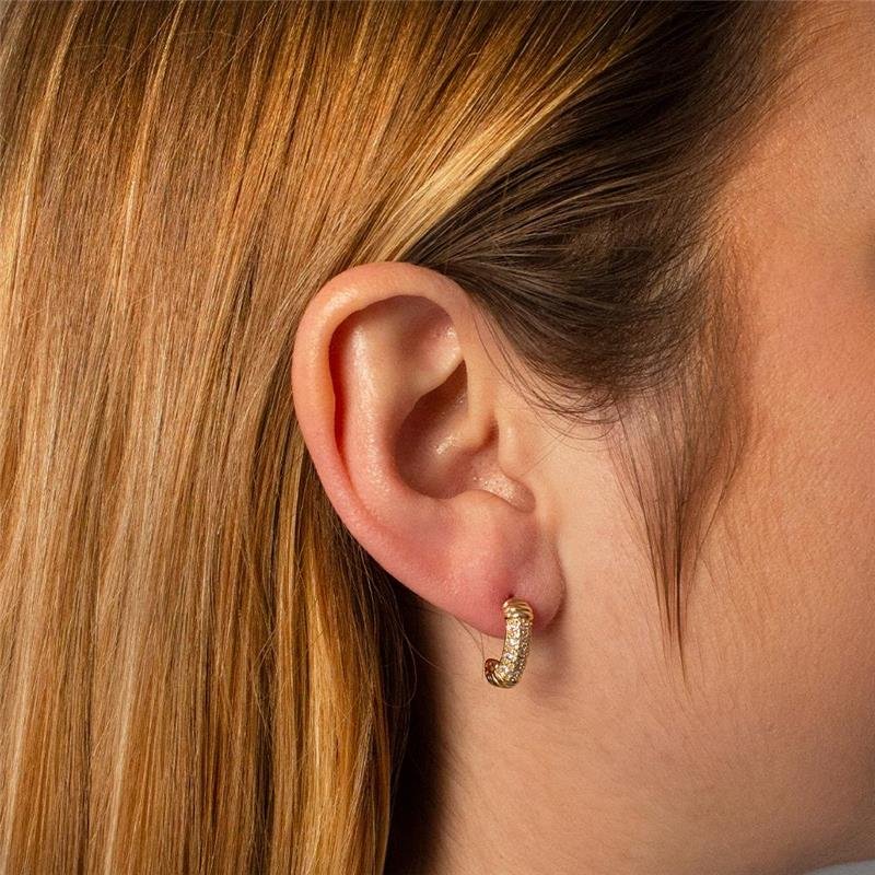 ARGOLA FOLHEADA ZIRCÔNIA