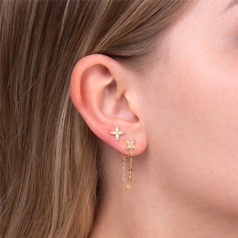 BRINCO DUPLO FOLHEADO ESTRELA CRAVEJADO