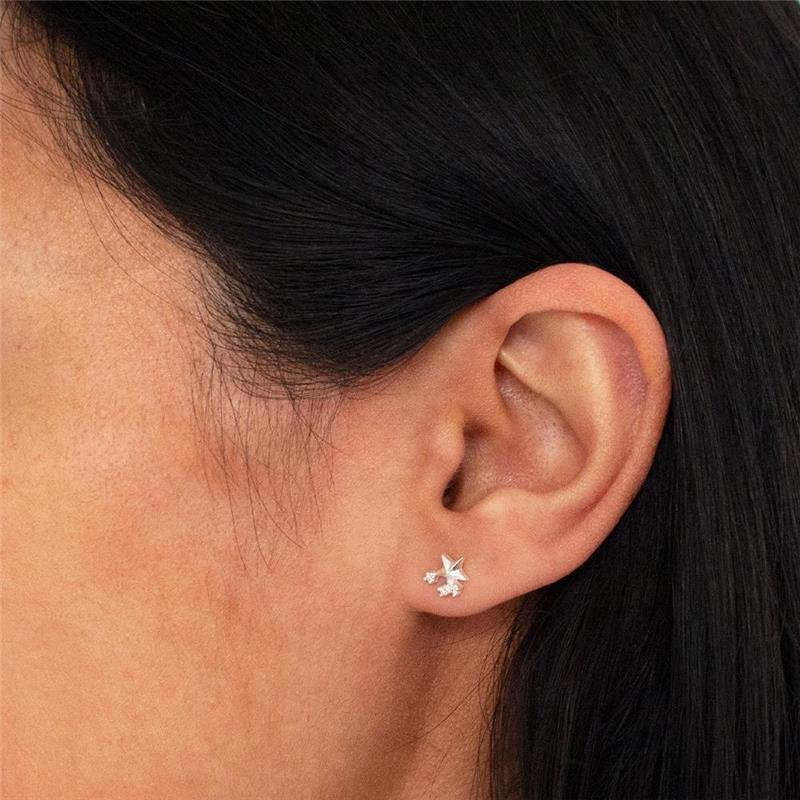 BRINCO PRATA ESTRELA COM ZIRCÔNIAS