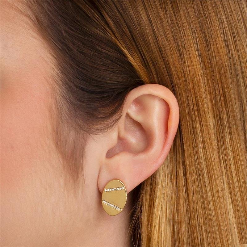 BRINCO FOLHEADO ZIRCÔNIAS